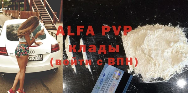 стаф Алзамай