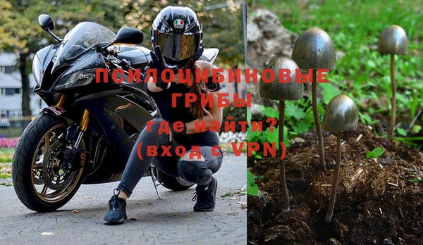ГАЛЛЮЦИНОГЕННЫЕ ГРИБЫ Протвино