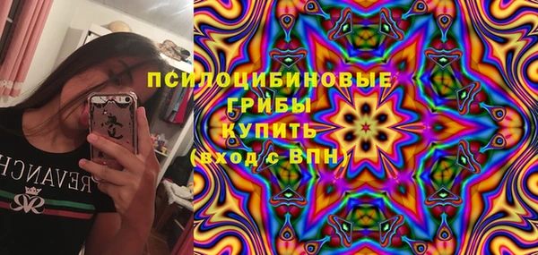 мдпв Абаза