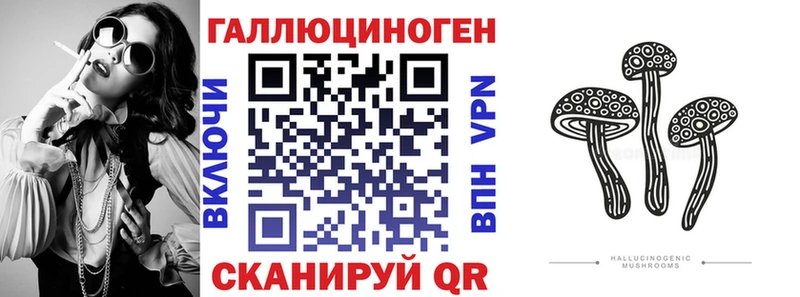 где продают наркотики  Кириллов  Псилоцибиновые грибы Psilocybine cubensis 